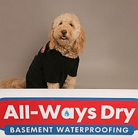 All-Ways Dry Basement Waterproofing: Luna, Lunch Supervisor